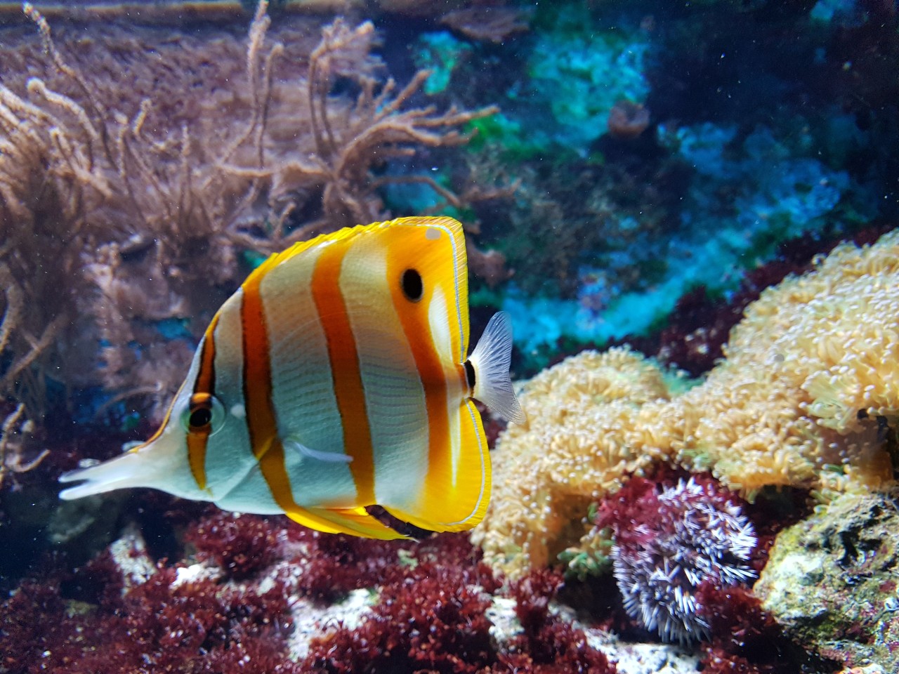 Aquarium de St Malo